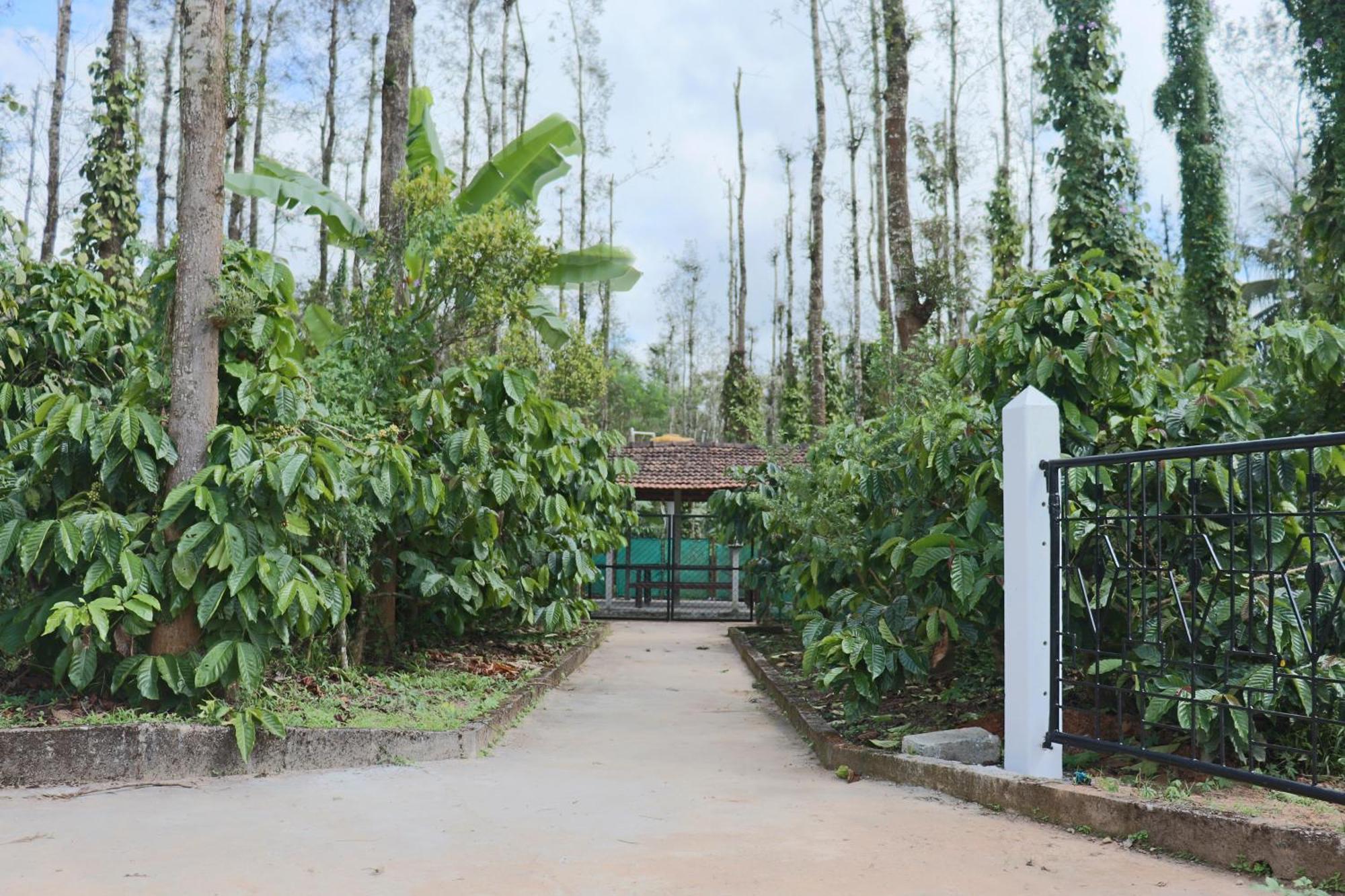 Coffeebean Villa - Unwind & Rejuvenate Sakleshpur Extérieur photo